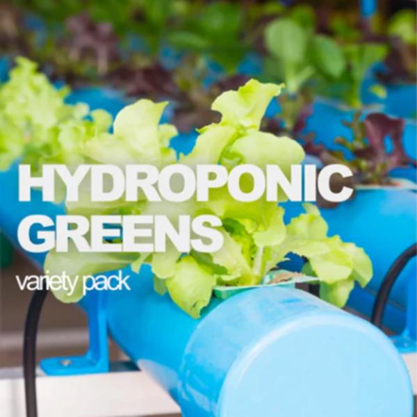 All-in-One Hydroponic Greens