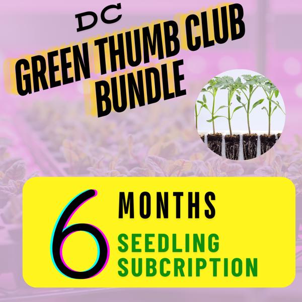 Seedling Subscription - 6 months