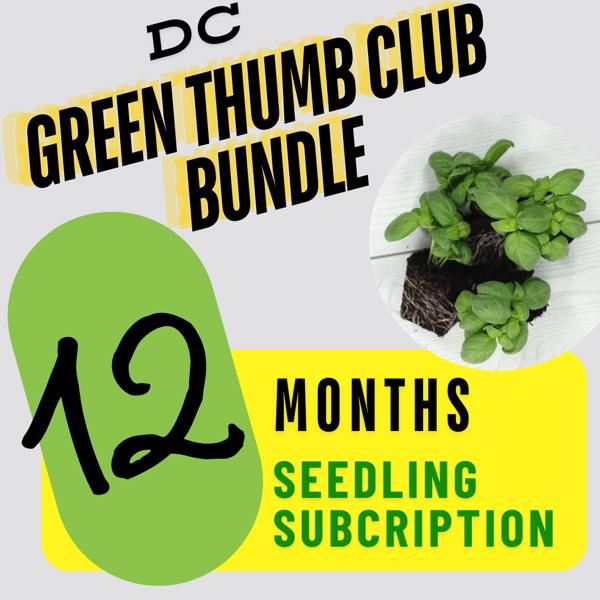 Seedling Subscription - 12 months