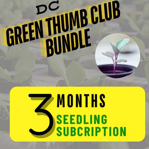 Seedling Subscription - 3 months