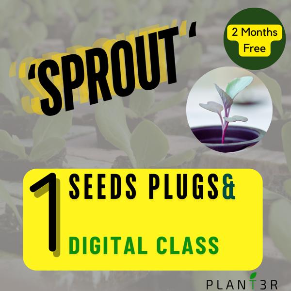 Sprout Starter Kit - Indoor LED Growing Kit