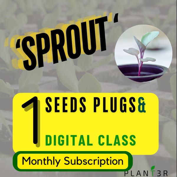 Sprout Monthly Indoor Garden Subscription