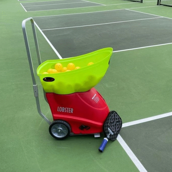 Lobster, The Pickle