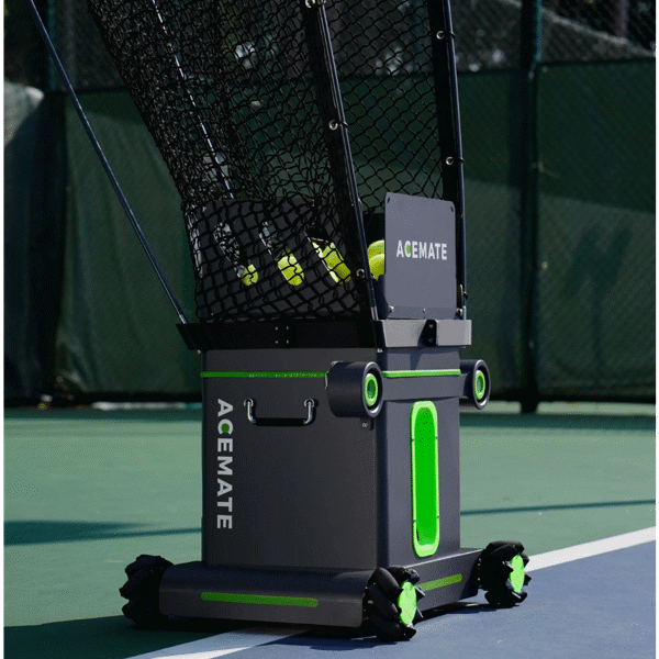 ACEMATE Robot Daily Rental