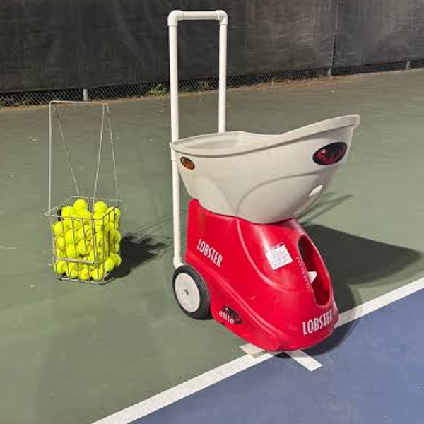 Lobster Elite 1 