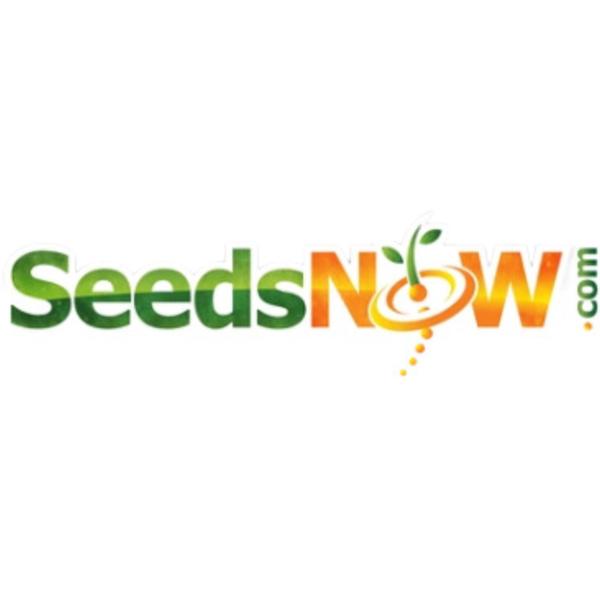 Seeds Now
